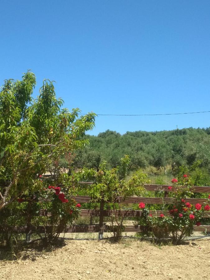 Eden Garden Villa Near Knossos Skalanion Eksteriør billede